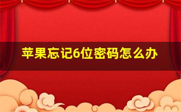 苹果忘记6位密码怎么办