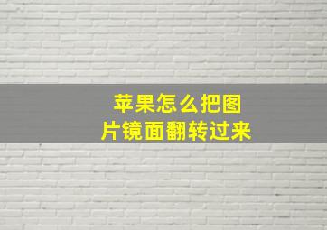 苹果怎么把图片镜面翻转过来