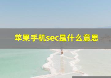 苹果手机sec是什么意思