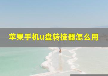 苹果手机u盘转接器怎么用