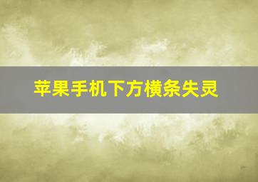 苹果手机下方横条失灵