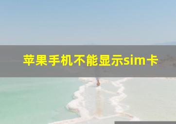 苹果手机不能显示sim卡