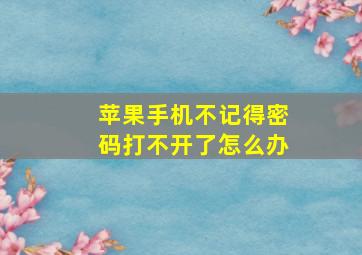 苹果手机不记得密码打不开了怎么办