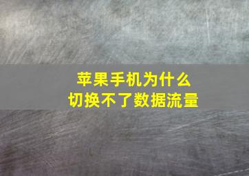 苹果手机为什么切换不了数据流量