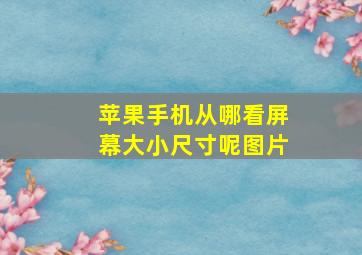 苹果手机从哪看屏幕大小尺寸呢图片