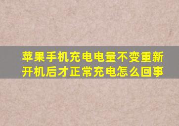 苹果手机充电电量不变重新开机后才正常充电怎么回事