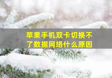 苹果手机双卡切换不了数据网络什么原因