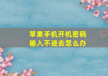 苹果手机开机密码输入不进去怎么办