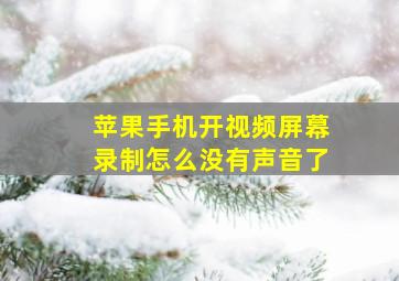 苹果手机开视频屏幕录制怎么没有声音了