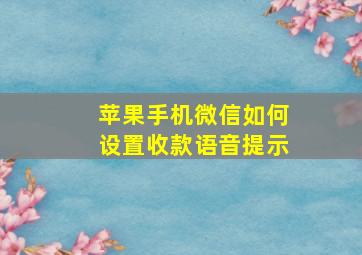 苹果手机微信如何设置收款语音提示