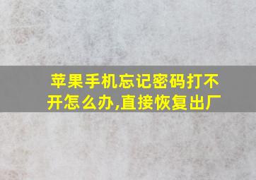 苹果手机忘记密码打不开怎么办,直接恢复出厂