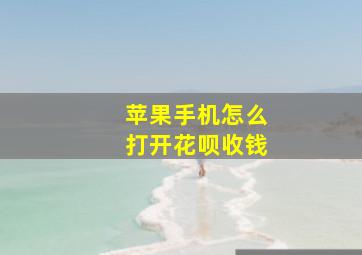 苹果手机怎么打开花呗收钱