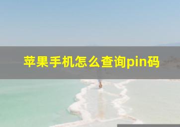 苹果手机怎么查询pin码