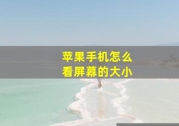 苹果手机怎么看屏幕的大小