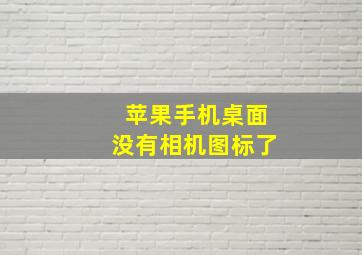 苹果手机桌面没有相机图标了