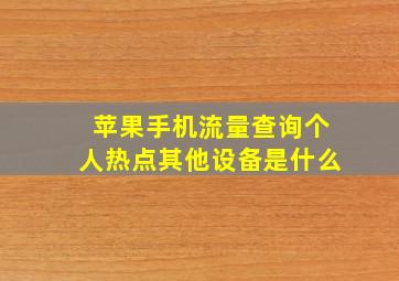 苹果手机流量查询个人热点其他设备是什么