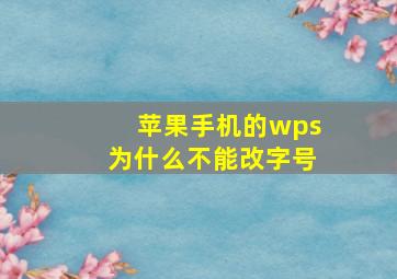 苹果手机的wps为什么不能改字号