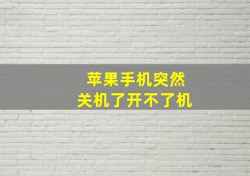 苹果手机突然关机了开不了机