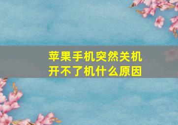 苹果手机突然关机开不了机什么原因