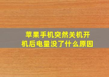 苹果手机突然关机开机后电量没了什么原因