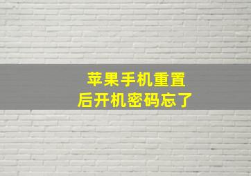 苹果手机重置后开机密码忘了