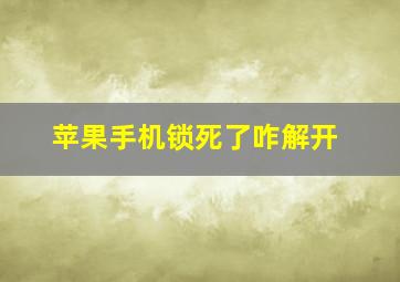 苹果手机锁死了咋解开