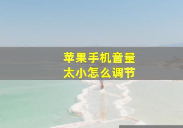 苹果手机音量太小怎么调节