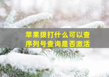 苹果拨打什么可以查序列号查询是否激活