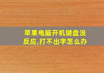 苹果电脑开机键盘没反应,打不出字怎么办