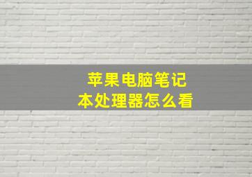 苹果电脑笔记本处理器怎么看