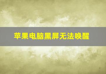 苹果电脑黑屏无法唤醒