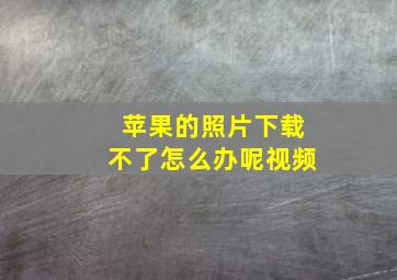 苹果的照片下载不了怎么办呢视频