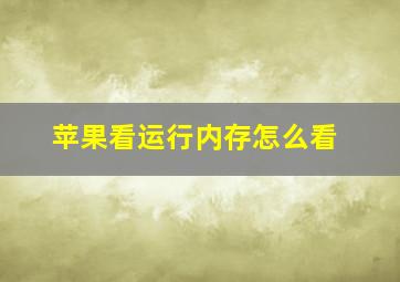 苹果看运行内存怎么看