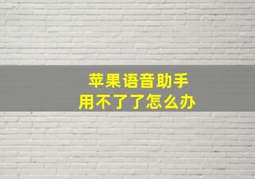 苹果语音助手用不了了怎么办