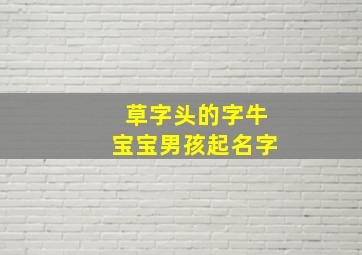 草字头的字牛宝宝男孩起名字