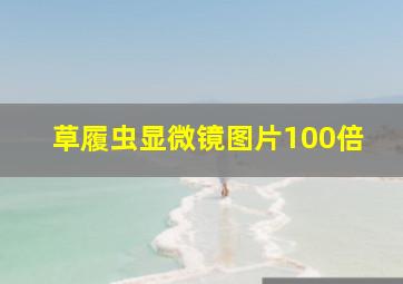 草履虫显微镜图片100倍