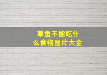 草鱼不能吃什么食物图片大全