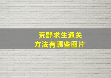 荒野求生通关方法有哪些图片