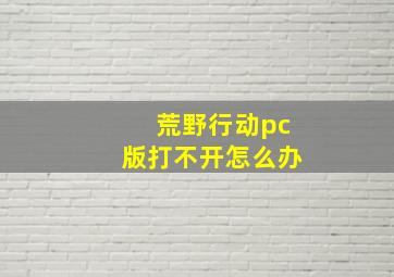 荒野行动pc版打不开怎么办