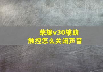 荣耀v30辅助触控怎么关闭声音