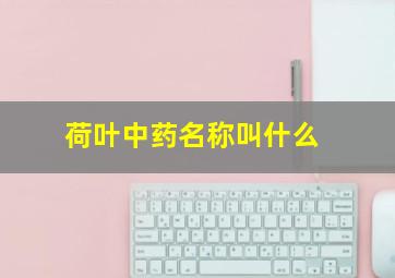 荷叶中药名称叫什么