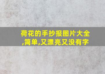 荷花的手抄报图片大全,简单,又漂亮又没有字