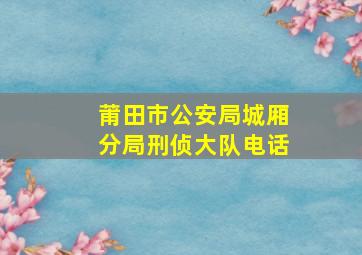 莆田市公安局城厢分局刑侦大队电话