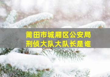 莆田市城厢区公安局刑侦大队大队长是谁