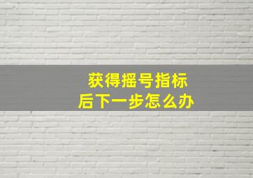 获得摇号指标后下一步怎么办