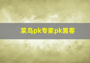 菜鸟pk专家pk黑客