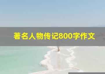 著名人物传记800字作文