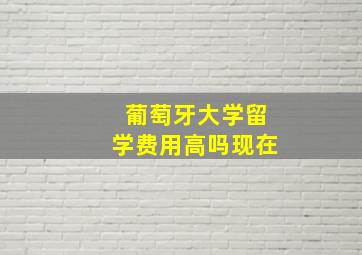 葡萄牙大学留学费用高吗现在