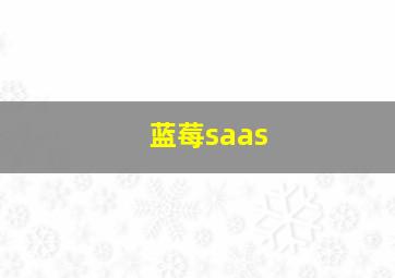 蓝莓saas