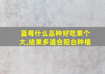 蓝莓什么品种好吃果个大,结果多适合阳台种植